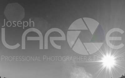 Justin Morgan 1 shot by Joseph Large bw