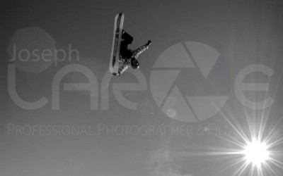 Justin Morgan 2 shot by Joseph Large bw