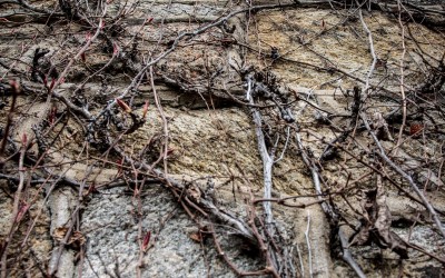 Eastern State Penitentiary shot by Joseph Large 34