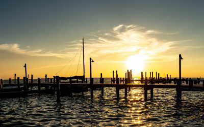 LBI Summer 2018 shot by Joseph Large 11